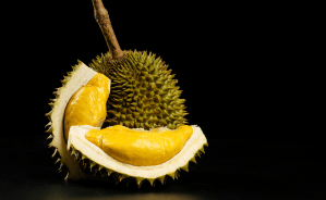 Let’s Talk Politics